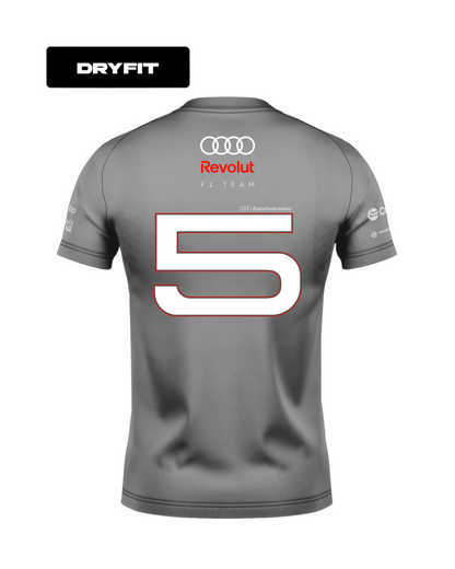 Camiseta Dryfit Audi Bortoleto 2026 Cinza
